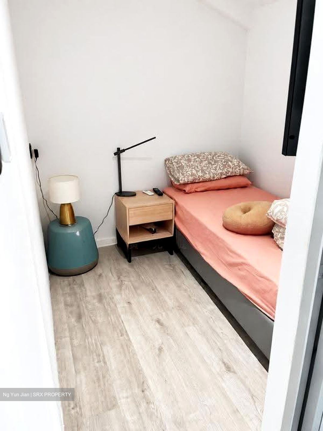 Dalhousie Lane (D8), Detached #626478761